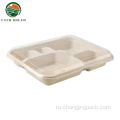 Bagasse Food Box BioDegable Food Container Lunch Box